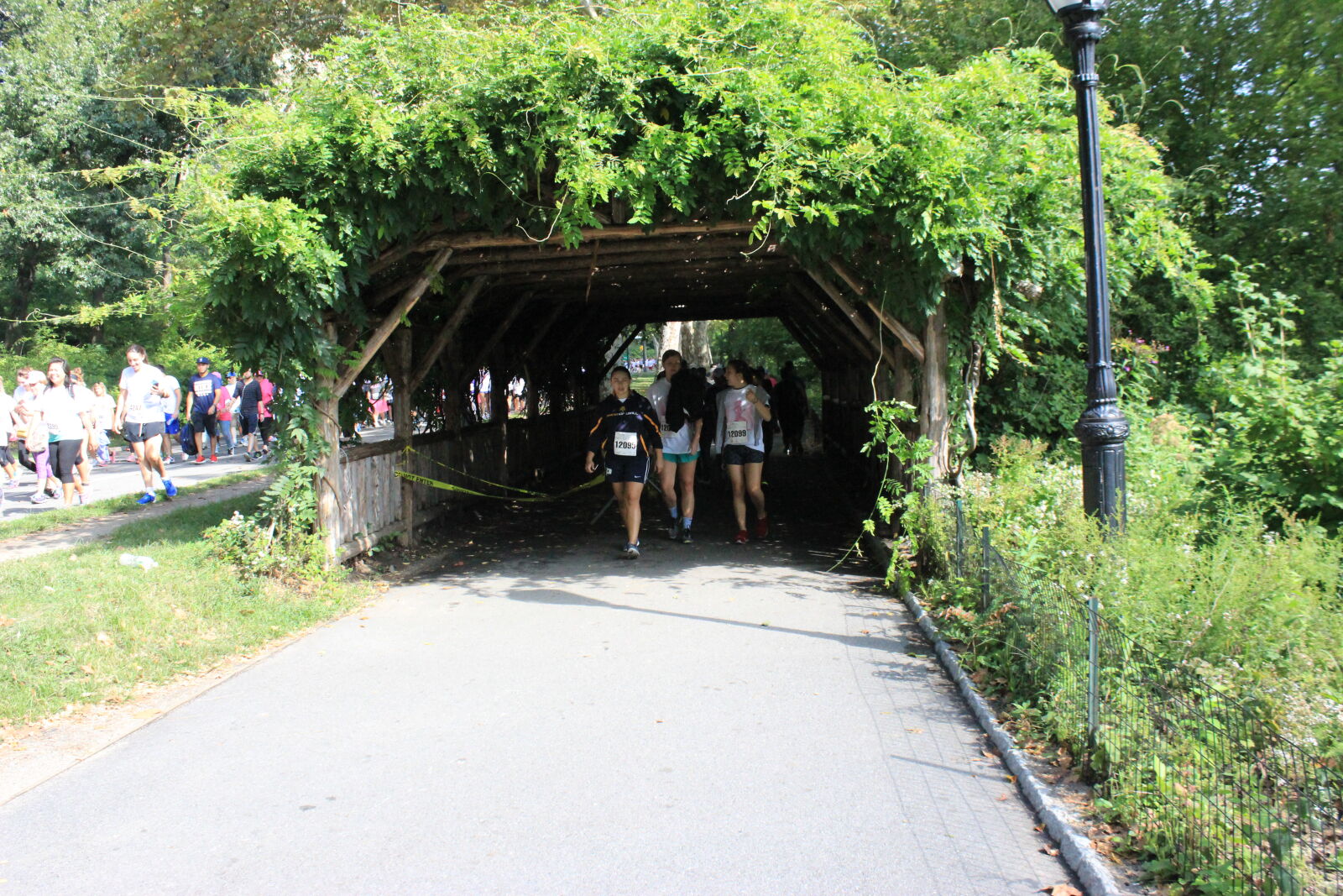 Canon EOS 600D (Rebel EOS T3i / EOS Kiss X5) sample photo. Cancer, walk, causes, central photography