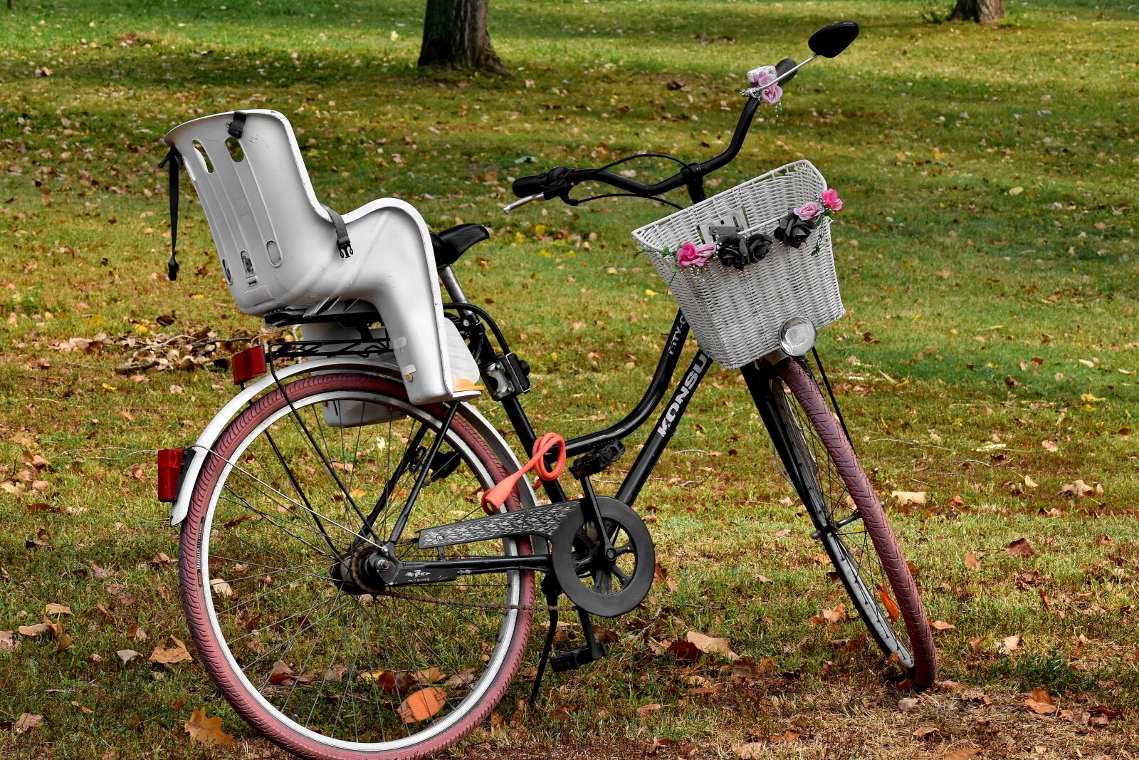 Nikon D5500 sample photo. Bicycle, decorative, flowers, park photography