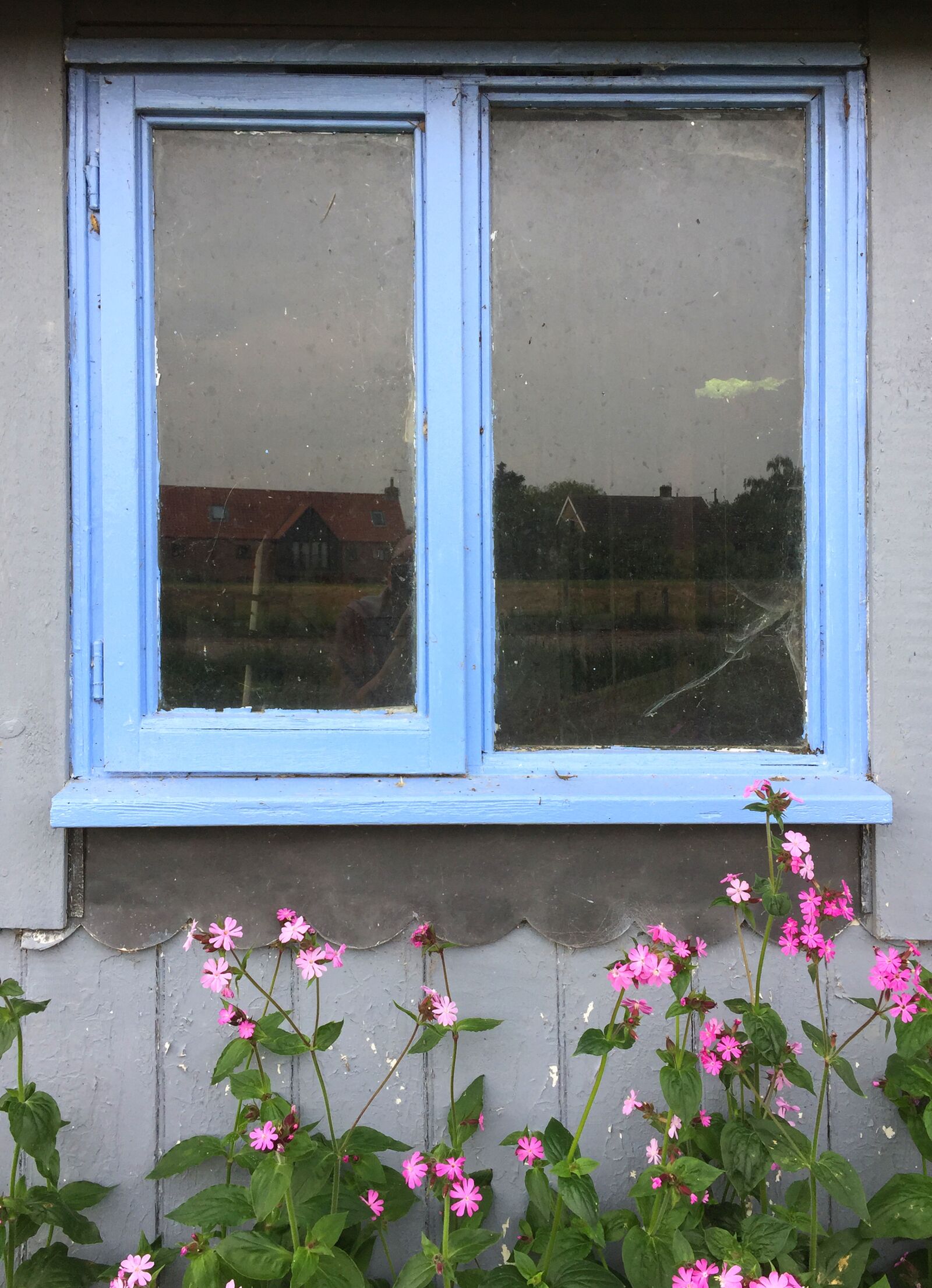 Apple iPhone 6 sample photo. Window, cottage, building photography