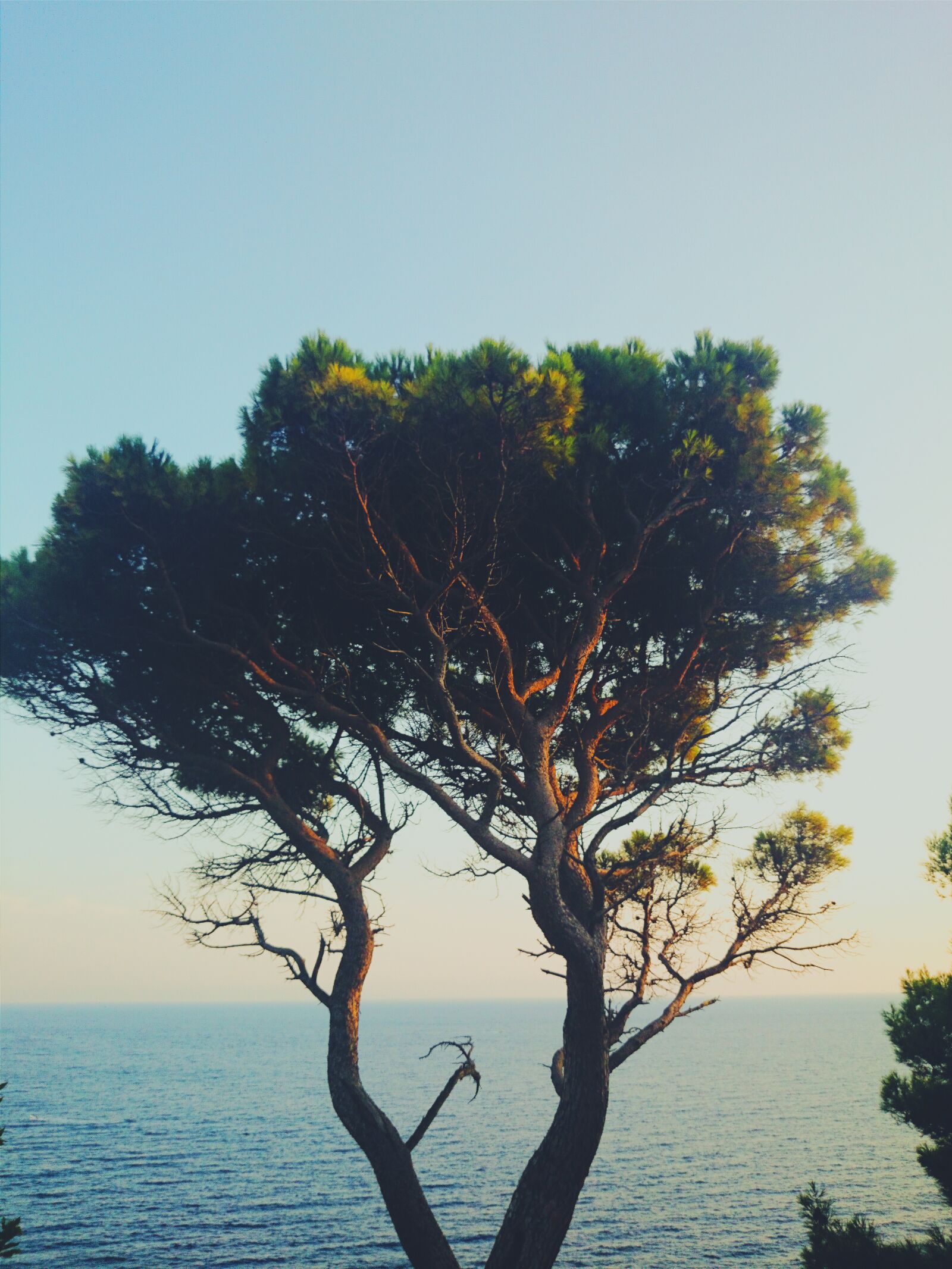 Sony Xperia Z1 sample photo. Landscape, nature, peaceful, sea photography