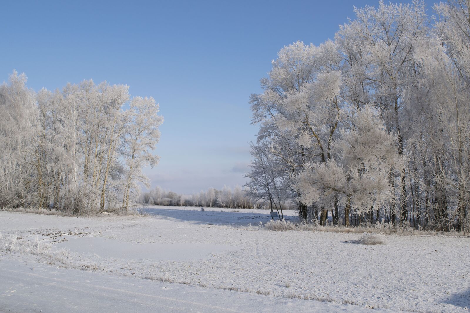 Nikon D5300 sample photo. Winter, snow, leann photography