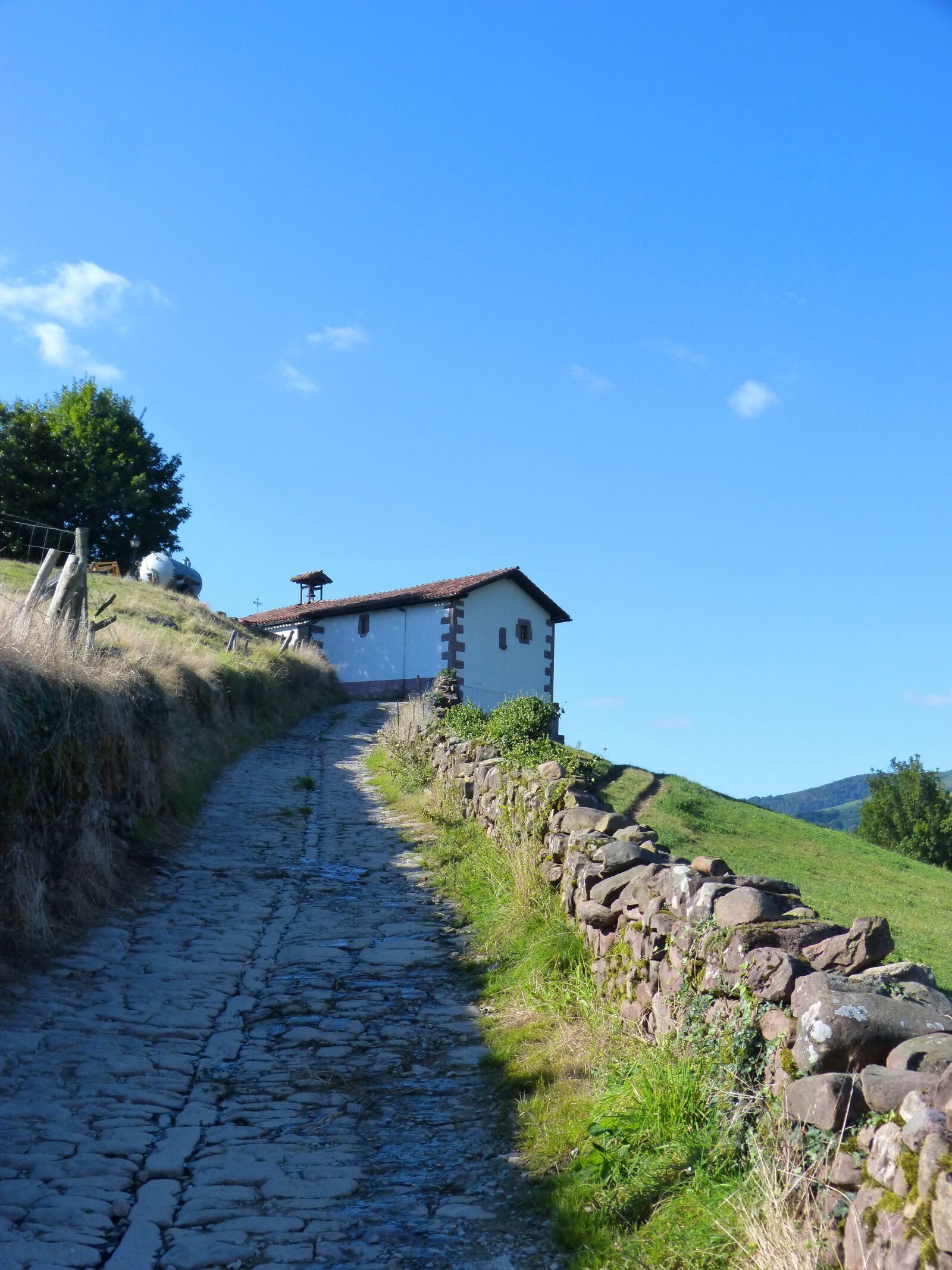 Panasonic DMC-FZ62 sample photo. Path, empedrado, hermitage photography