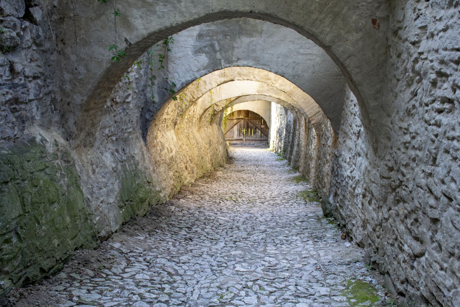 Nikon D5300 sample photo. Rumania, transylvania, architectural photography