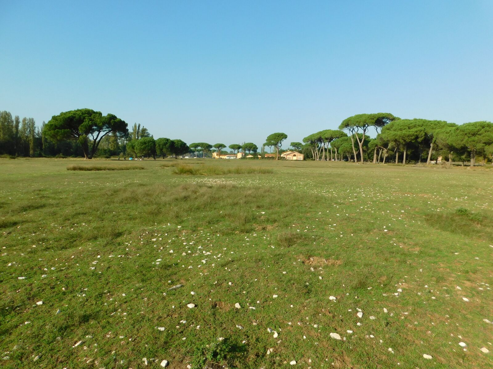 Nikon Coolpix B500 sample photo. Pini, park, mediterranean photography