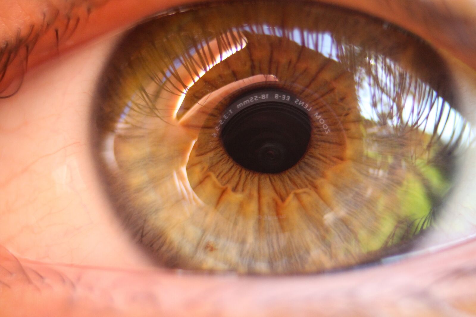 Canon EOS 700D (EOS Rebel T5i / EOS Kiss X7i) sample photo. Eye, green, portrait photography