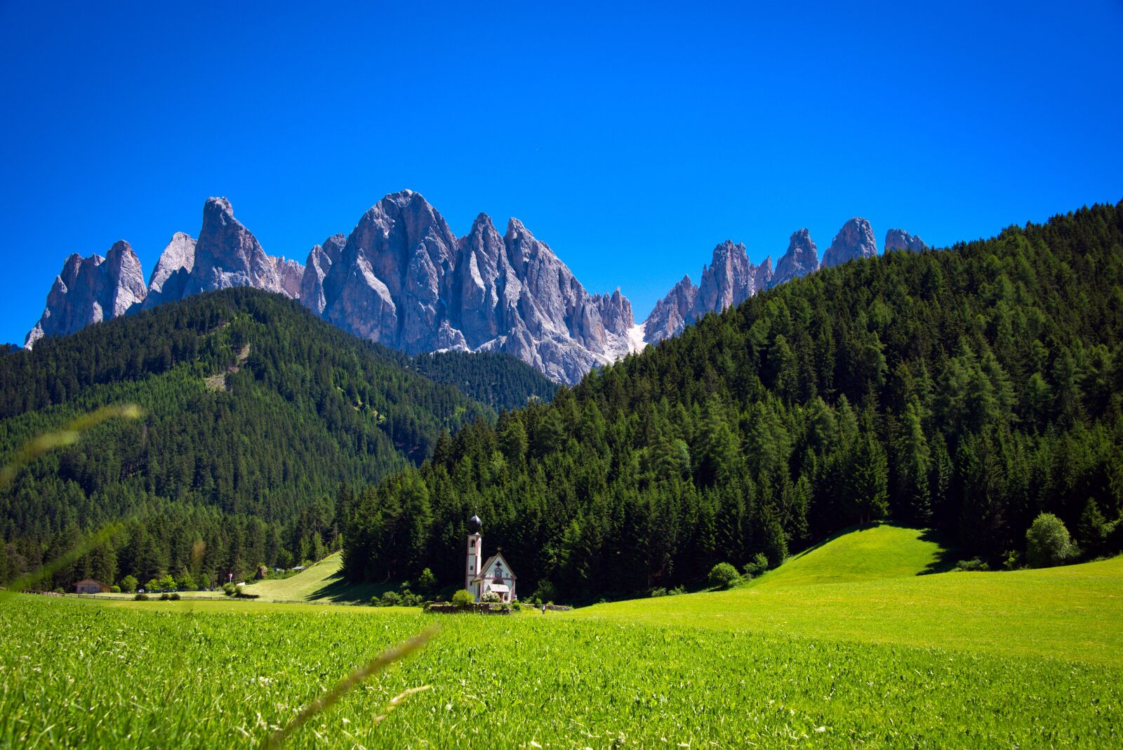 Nikon D750 sample photo. Val di funes, church photography