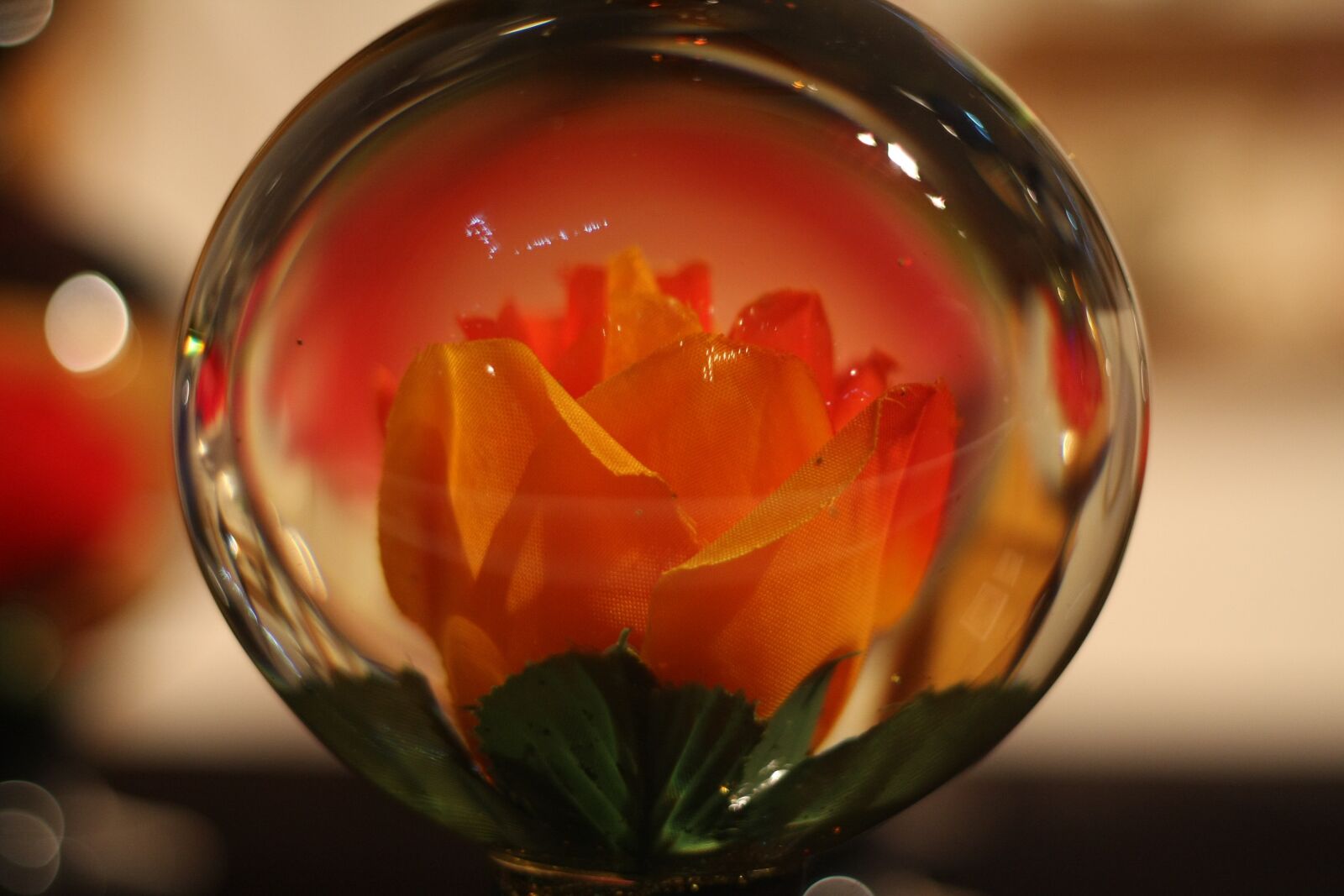 Canon EOS 40D sample photo. Flower, crystal, cold photography