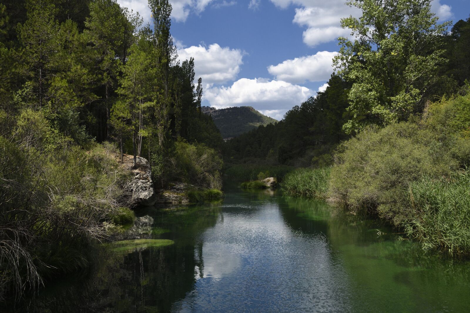Nikon D500 sample photo. Tajo, river, landscape photography