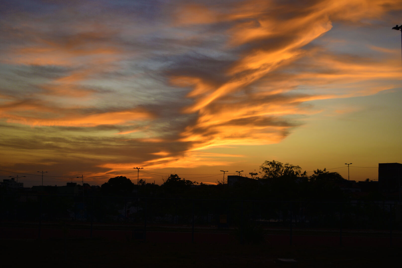 Nikon D3300 sample photo
