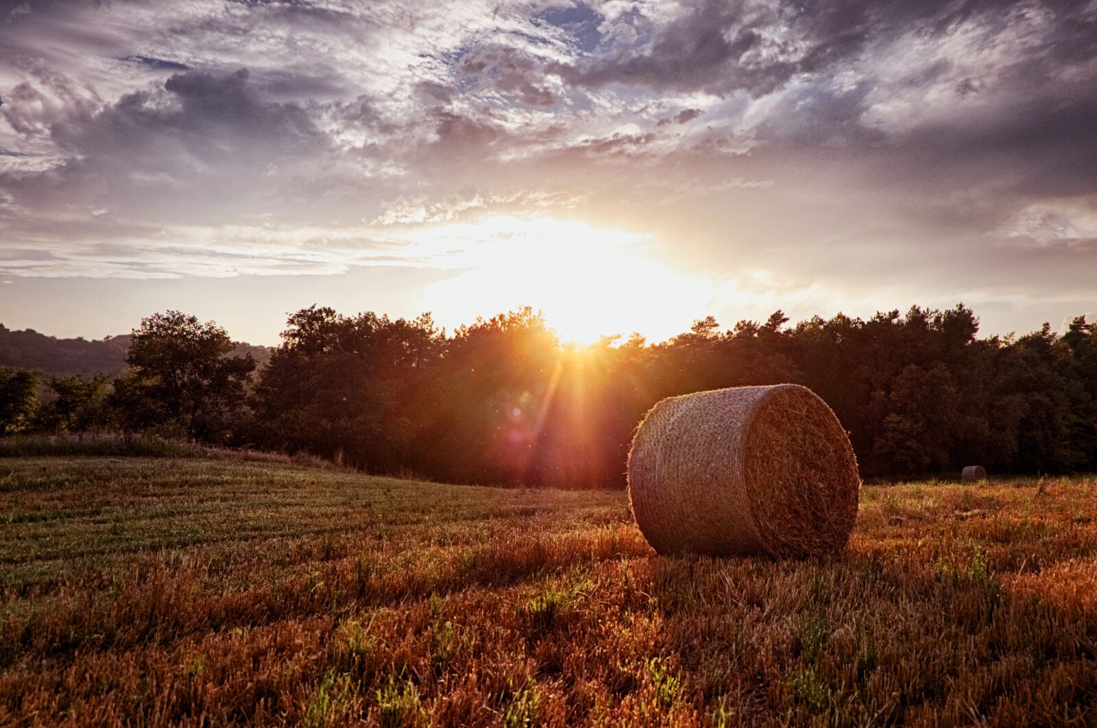 Fujifilm X-A2 + Fujifilm XC 16-50mm F3.5-5.6 OIS II sample photo. Harvest, field, wheat photography