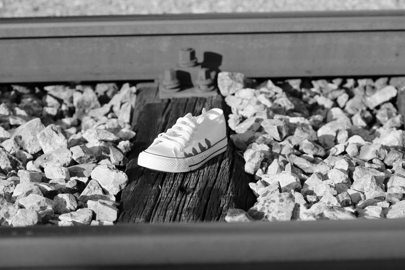 Canon EOS 6D + Canon EF 100mm F2.8 Macro USM sample photo. Stop teenager suicide, bloody photography