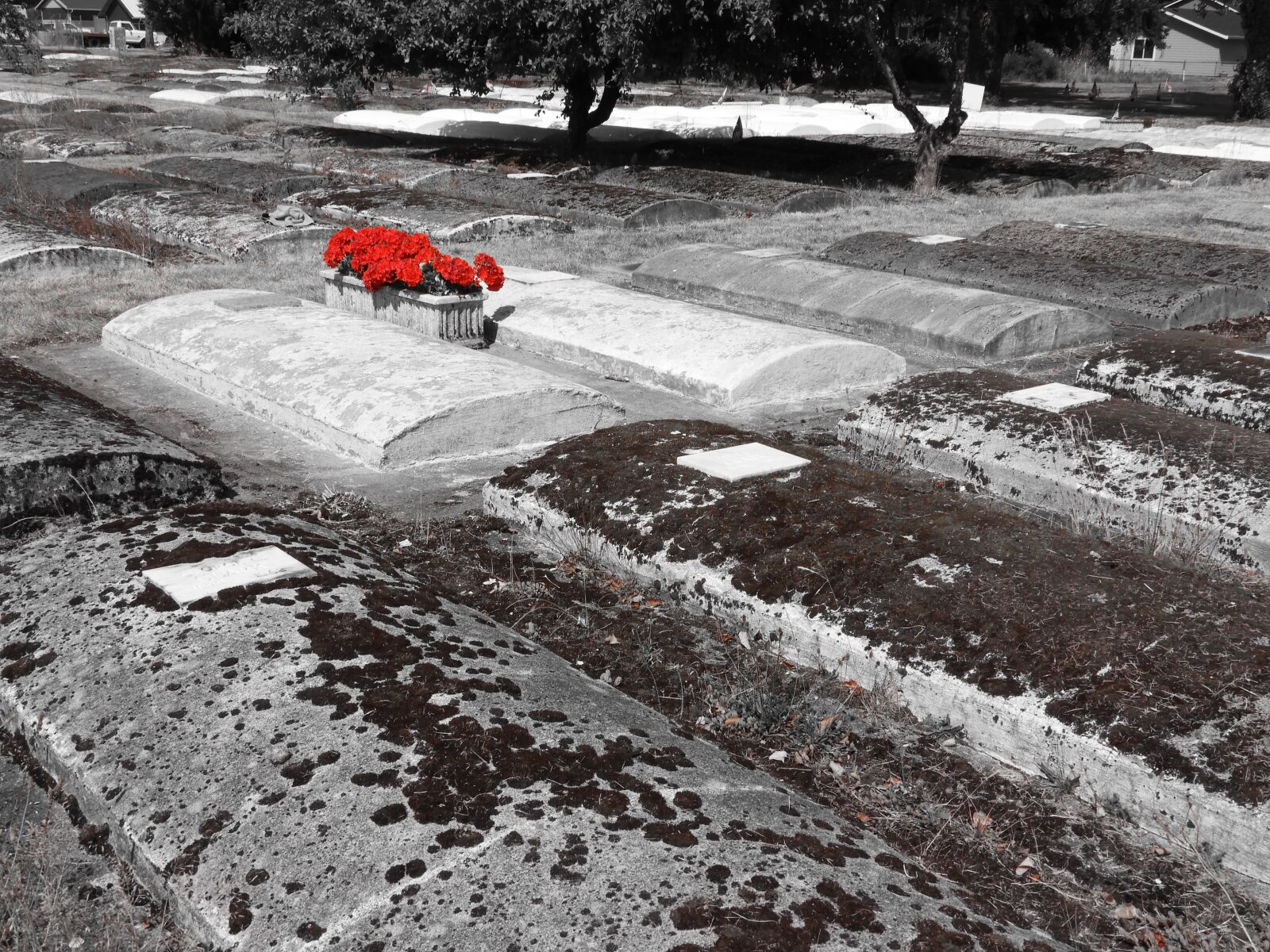 Nikon Coolpix B700 sample photo. Grave, tomb, graveyard photography