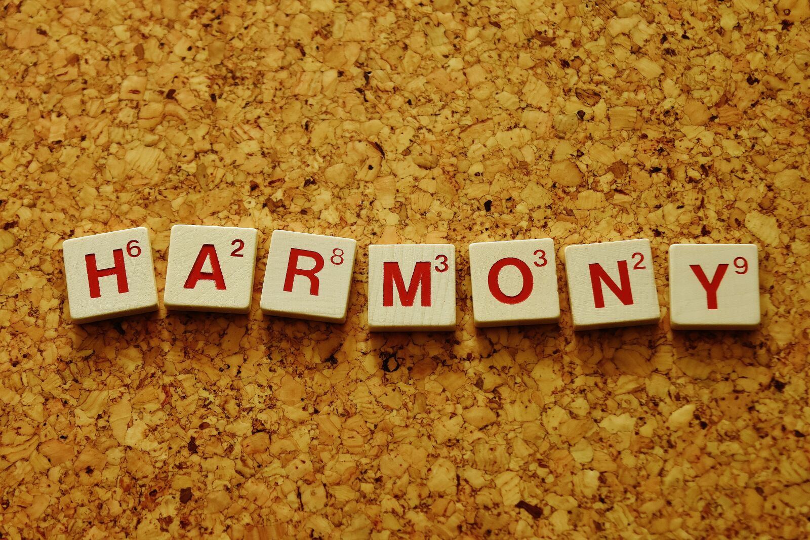 Nikon D7200 sample photo. Harmony, line, satisfaction photography