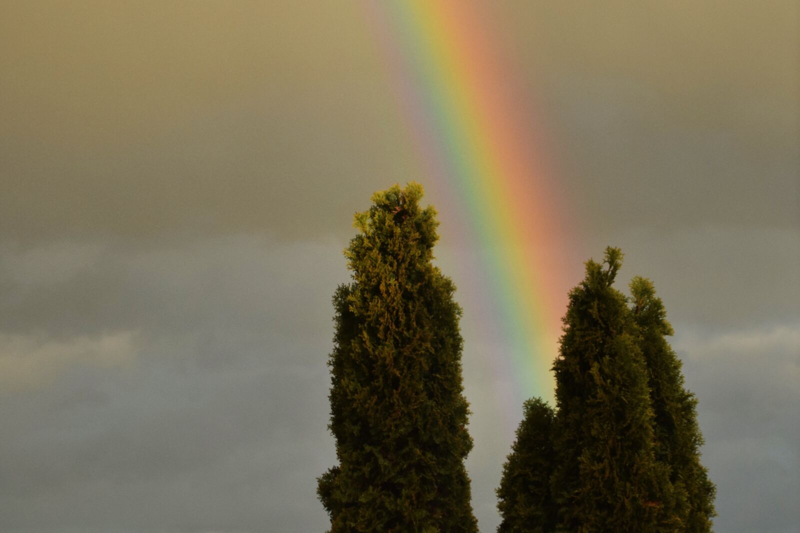 Nikon D5300 sample photo. Rainbow, light, mood photography