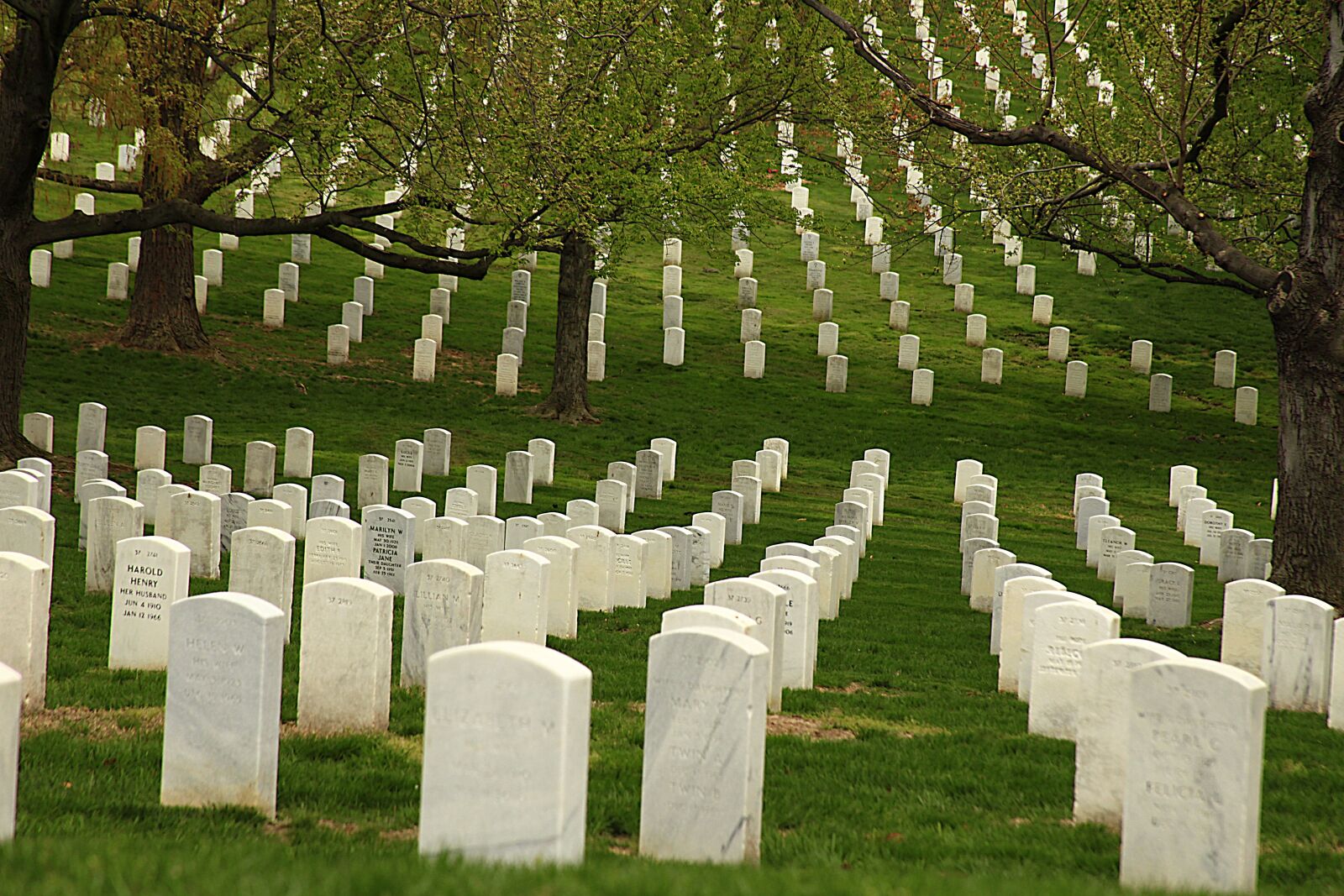 Canon EOS 5D Mark II sample photo. Memorial day, graves, cemetery photography