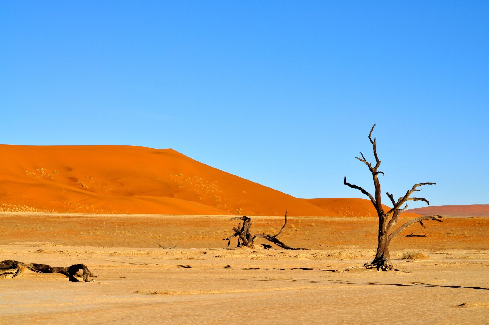 Nikon D5000 sample photo. Desert, nature, namibia photography