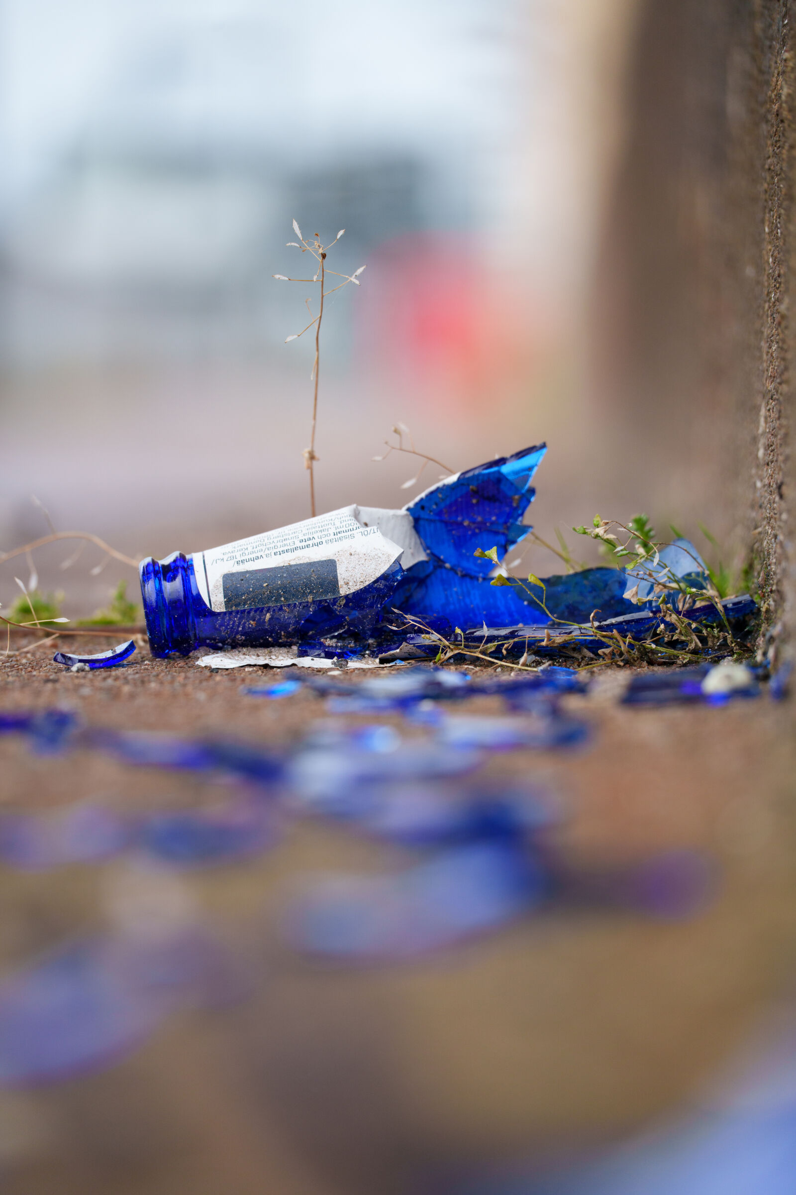 Sony a7R V sample photo. Broken dreams photography