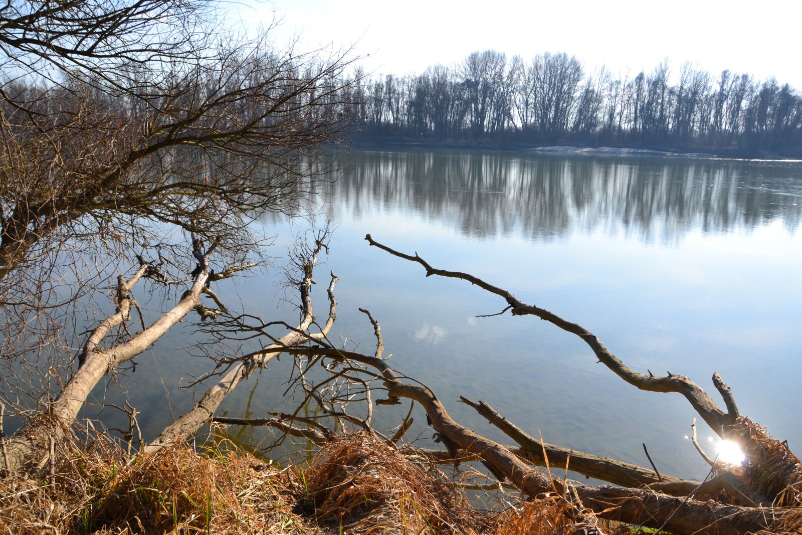 Nikon D3100 sample photo. Hungary, baranya, drava photography