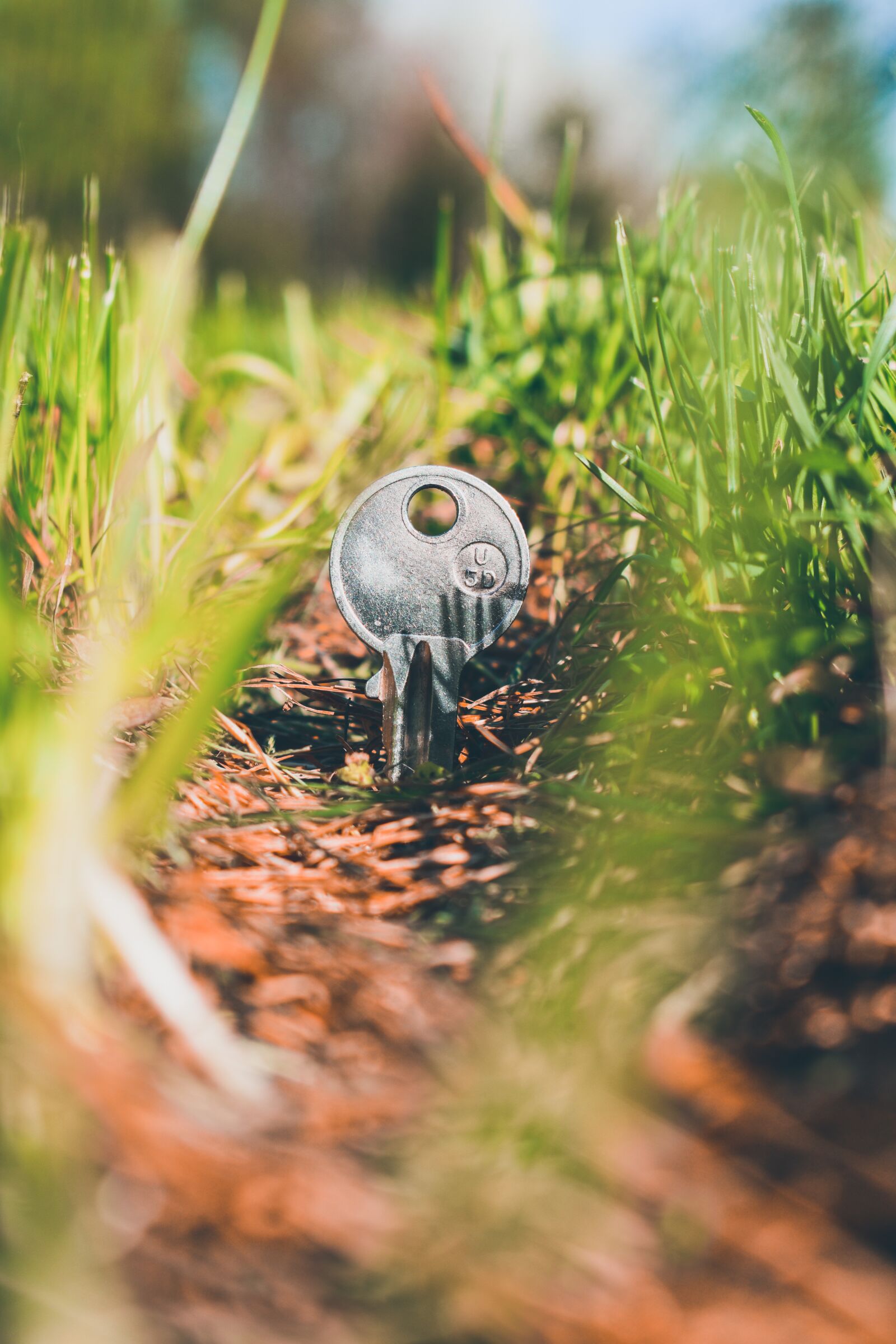 Nikon D3500 sample photo. Key, earth, grass photography