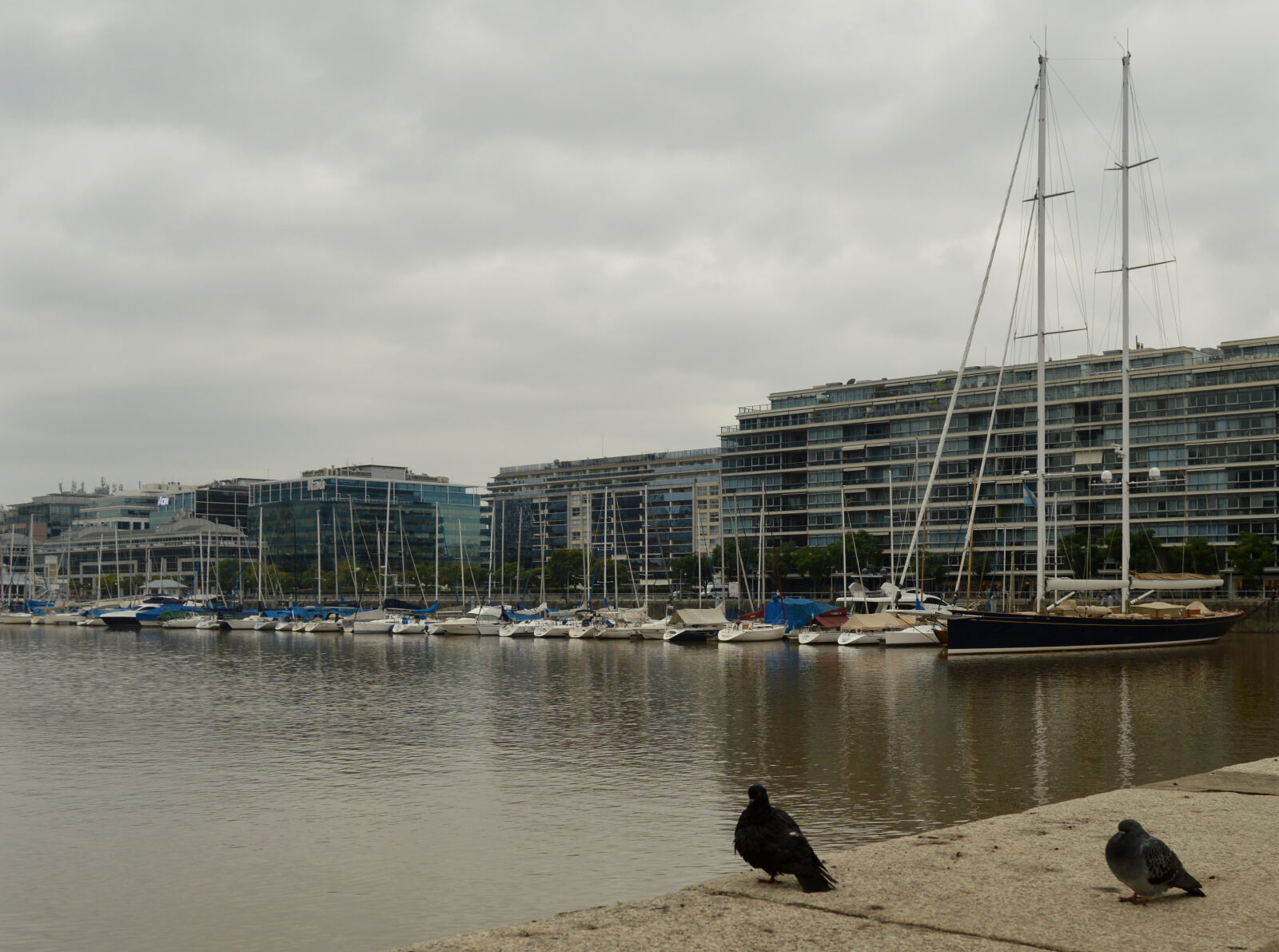 Nikon D3200 sample photo. Buenos, aires, puerto, madero photography