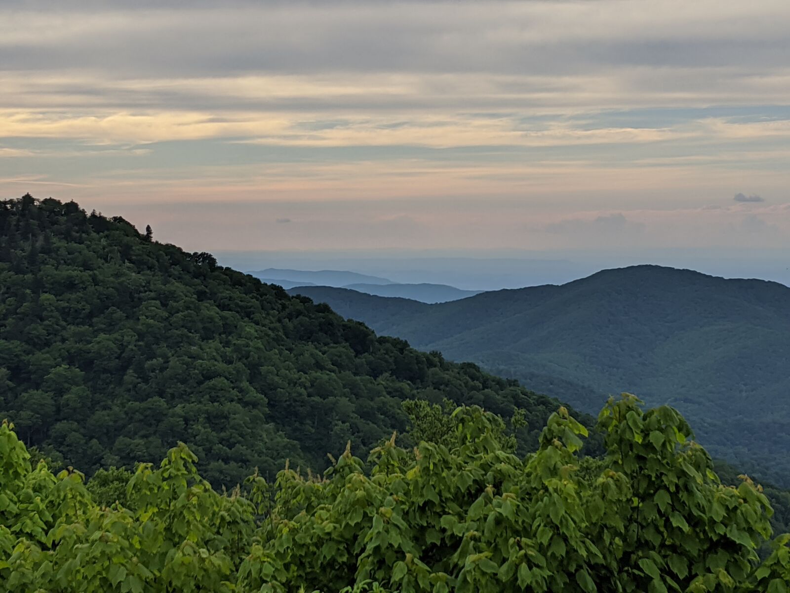 Google Pixel 3 XL sample photo. Nature, north carolina, outdoor photography