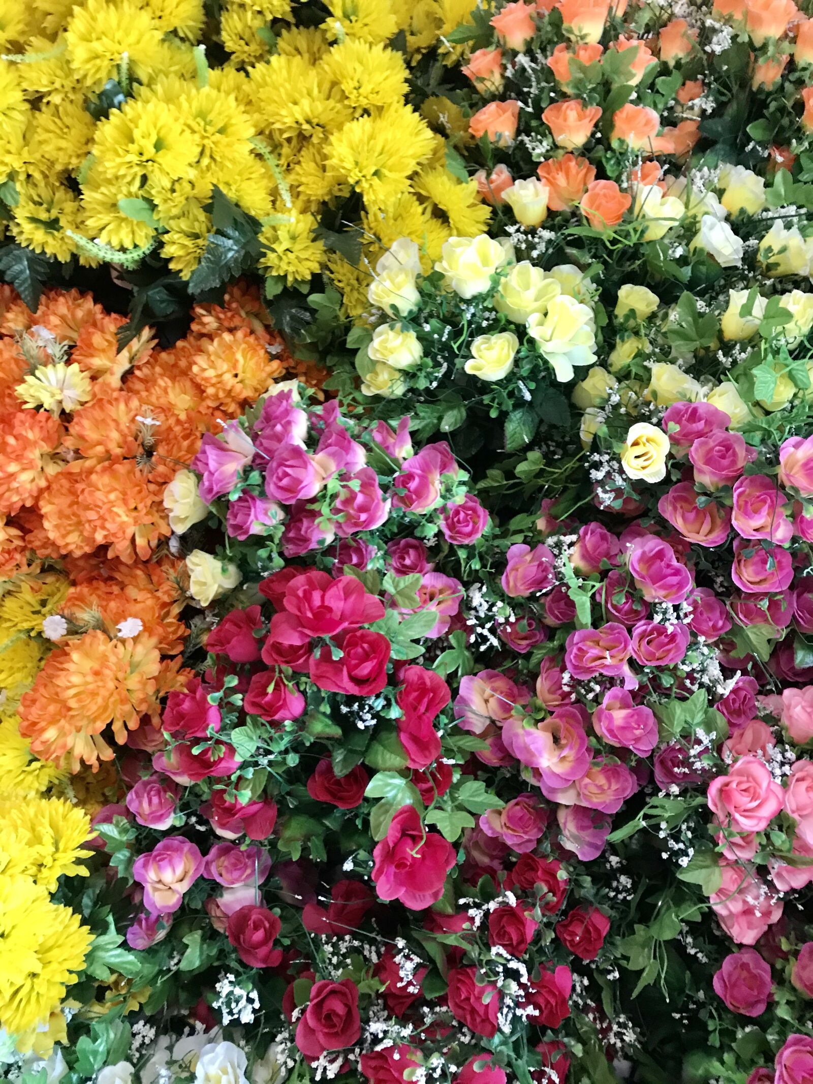 iPhone 7 back camera 3.99mm f/1.8 sample photo. Flowers, decoration, rose photography