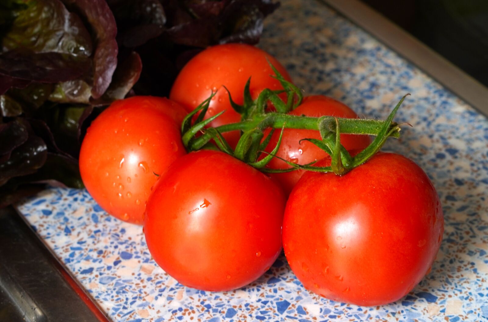 E 50mm F1.8 OSS sample photo. Tomatoes, red, vegetables photography