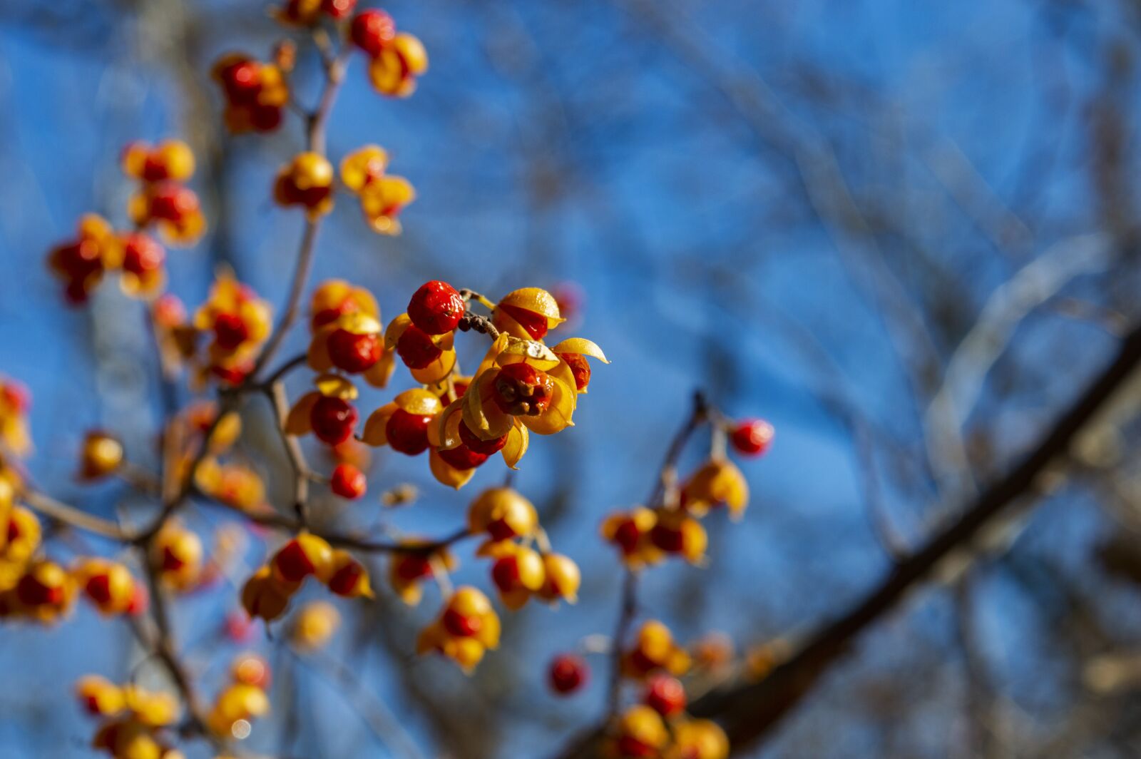 Nikon D3200 sample photo. Loess bluffs, national wildlife photography