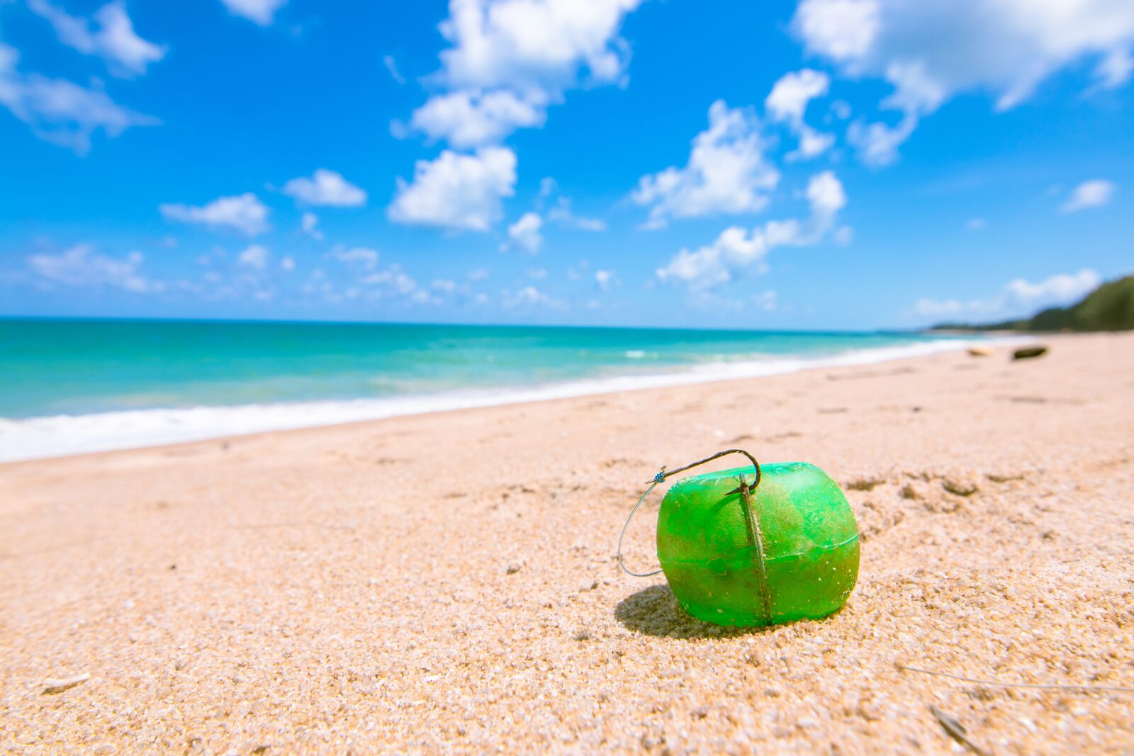 Canon EOS 80D sample photo. Bait, ball, andaman sea photography