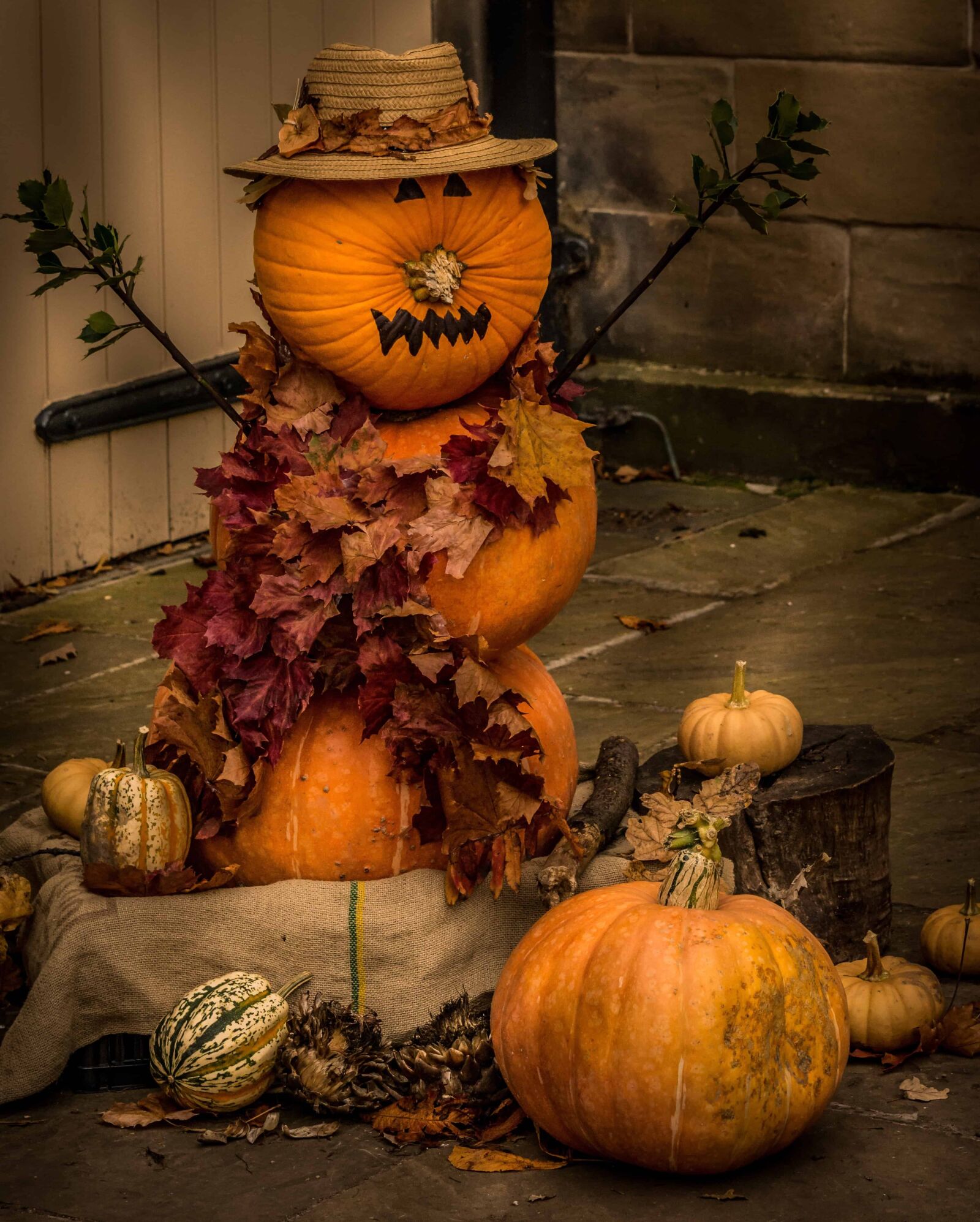Nikon D7100 sample photo. Pumpkin, vegetable, decoration, autumn photography