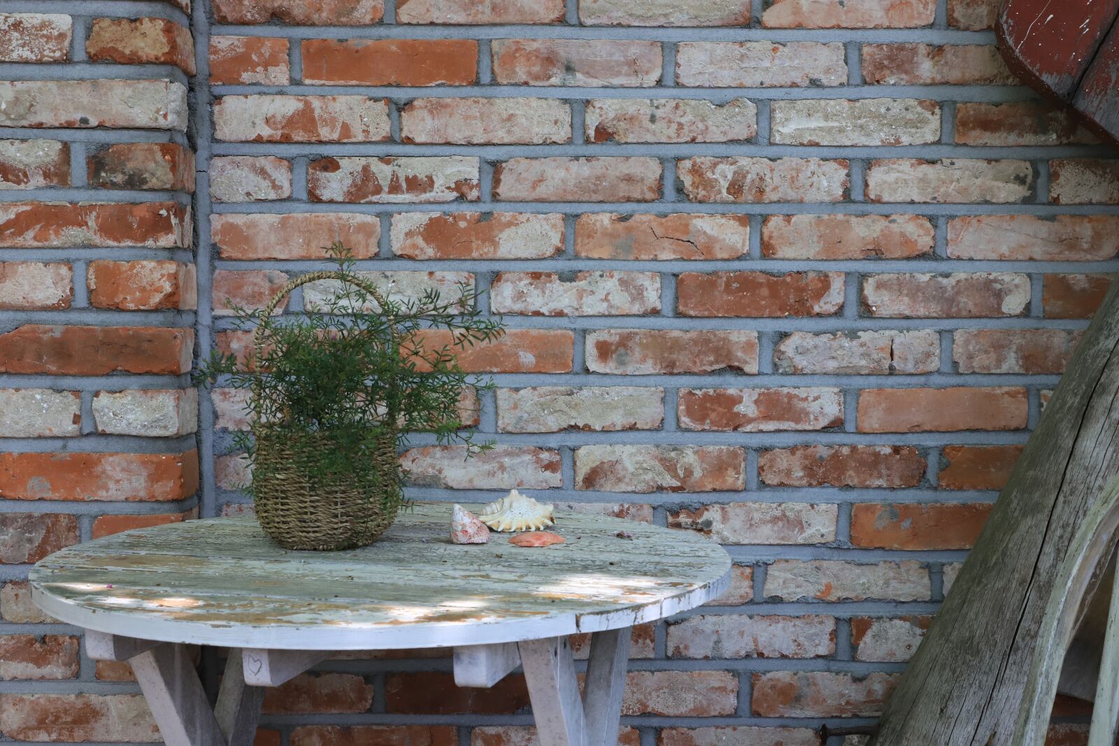 Canon EOS 6D Mark II sample photo. Still life, props, tables photography