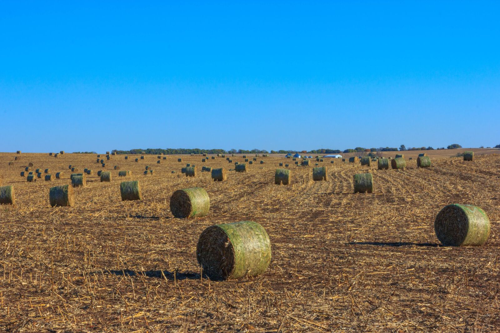 Canon EOS 60D + Canon EF 24-70mm F2.8L USM sample photo. Field, hay bales, hay photography