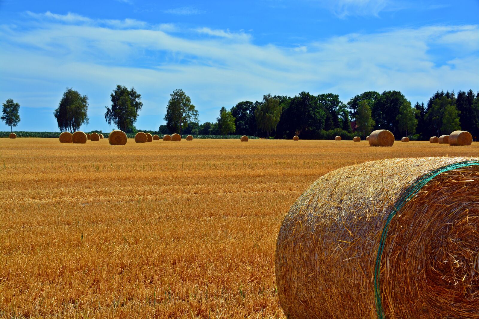 Nikon D5200 sample photo. Straw bales, cereals, agriculture photography