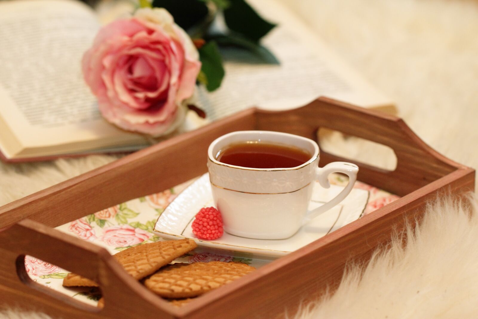 Canon EOS 60D sample photo. Table, wooden, cup photography