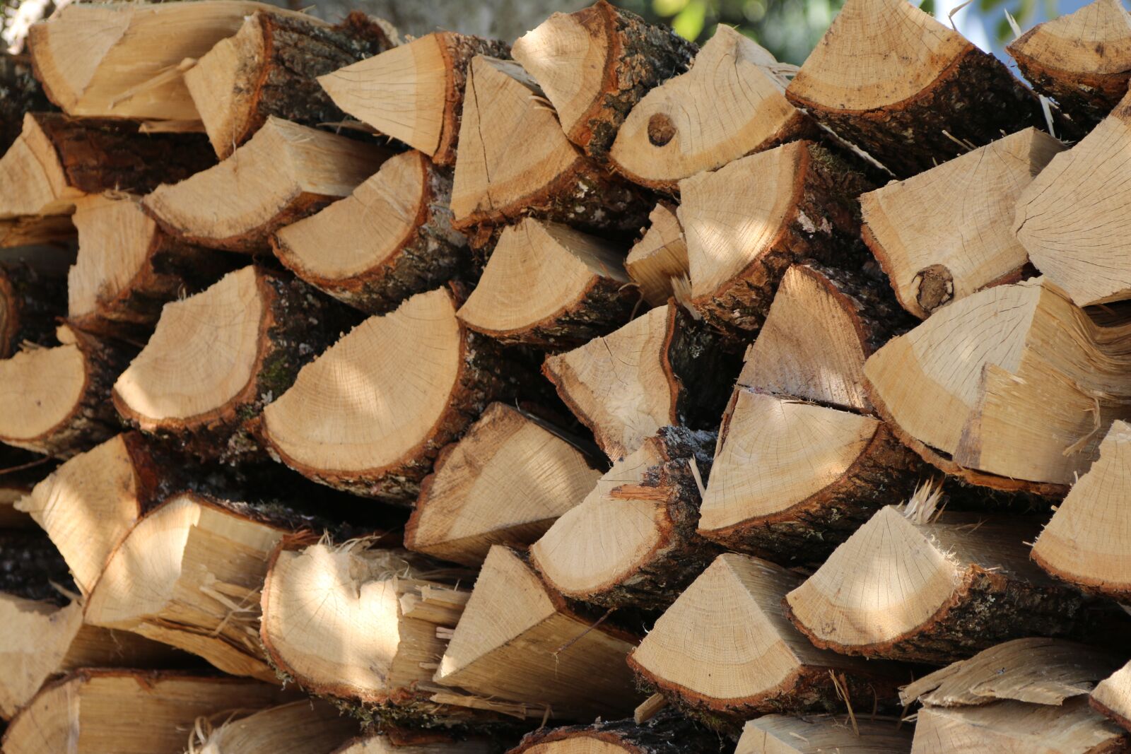 Canon EOS 70D + Canon EF 24-105mm F4L IS USM sample photo. Wood, logs, nature photography