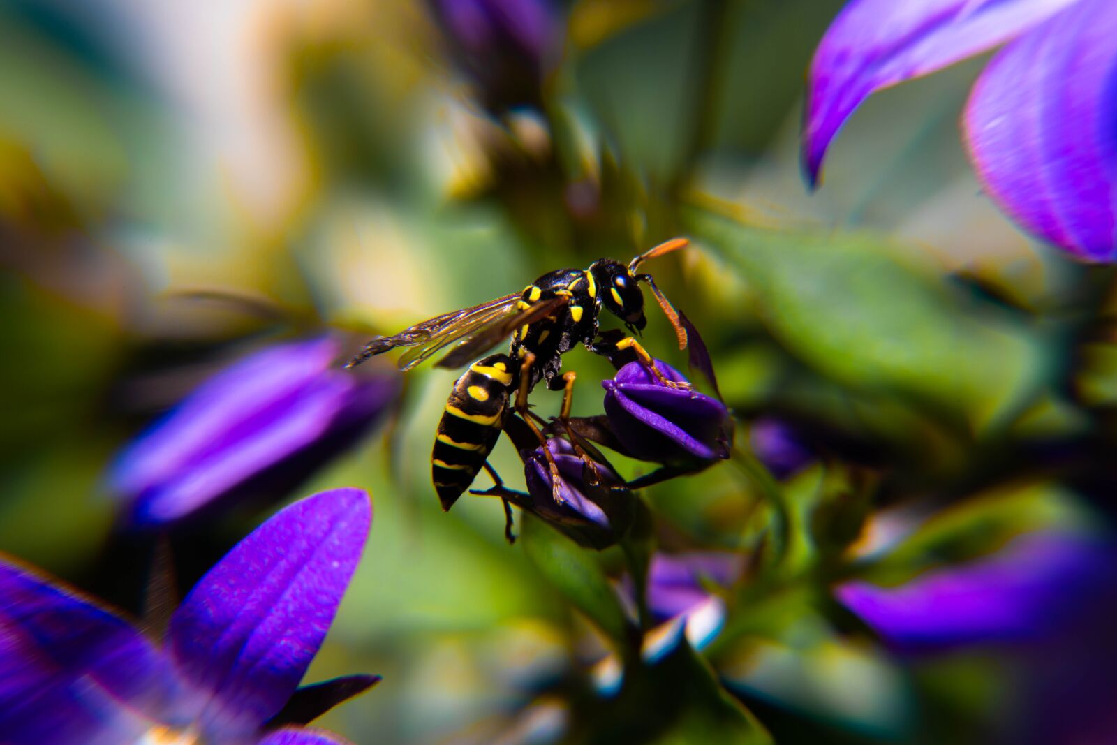 Nikon D850 sample photo. Spring, pollen, yellow photography