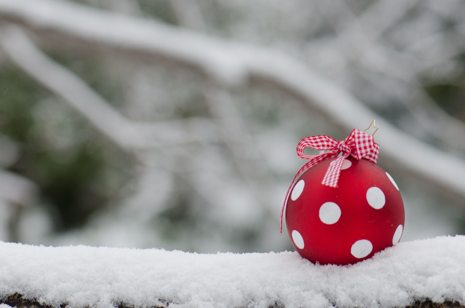Nikon D7000 sample photo. Winter, snow, merry christmas photography