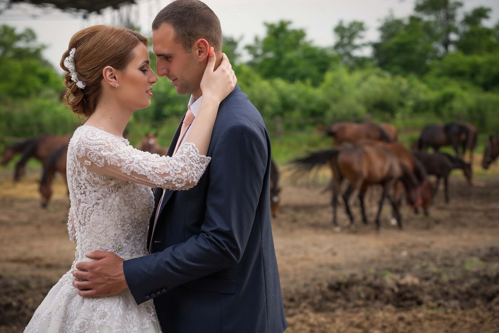 Canon EF 70-200mm F2.8L IS II USM sample photo. Hugging, farm, groom, horses photography