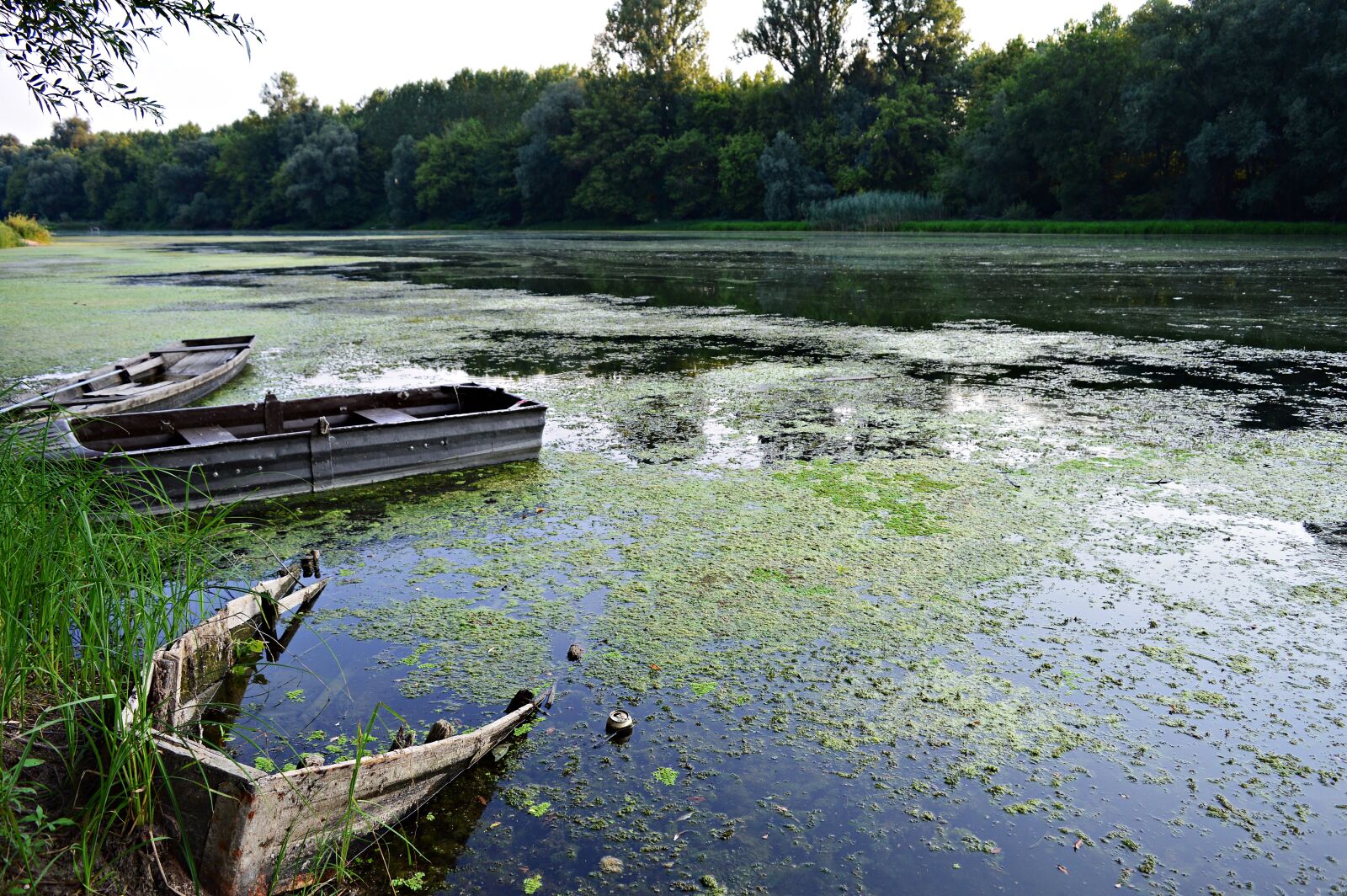 Nikon D3200 sample photo. River, water, danube photography