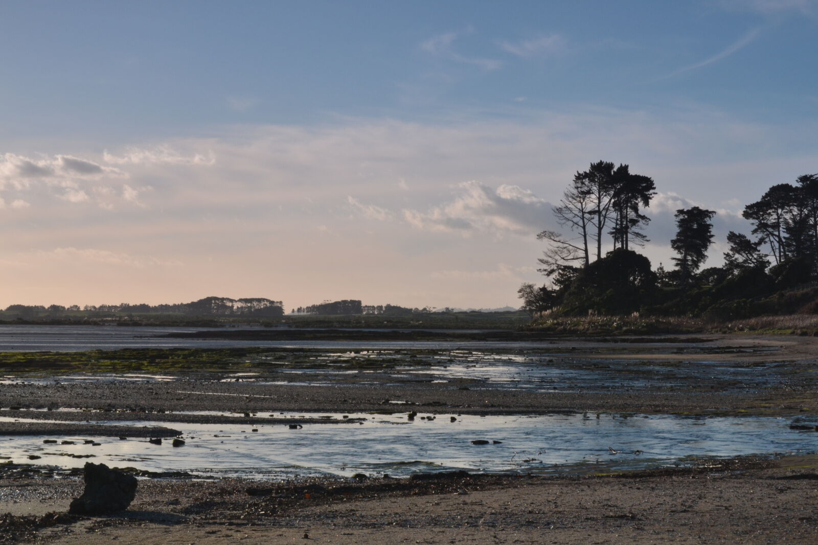 Nikon D3100 sample photo. Beach, golden, hour, manukau photography