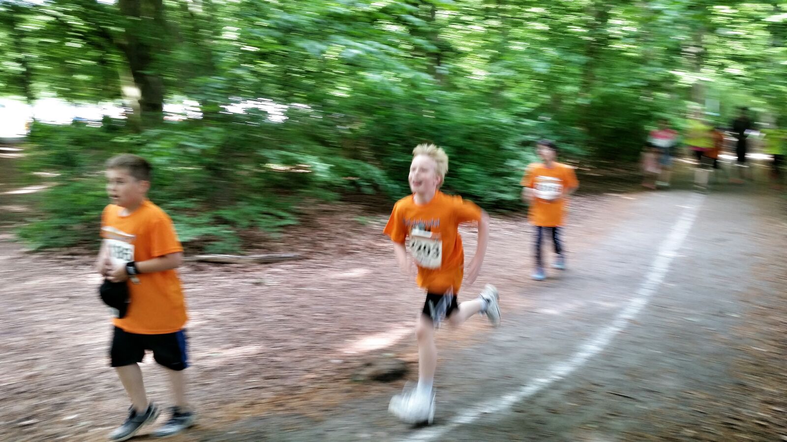 Samsung Galaxy S5 sample photo. Competition, leafs, race, running photography