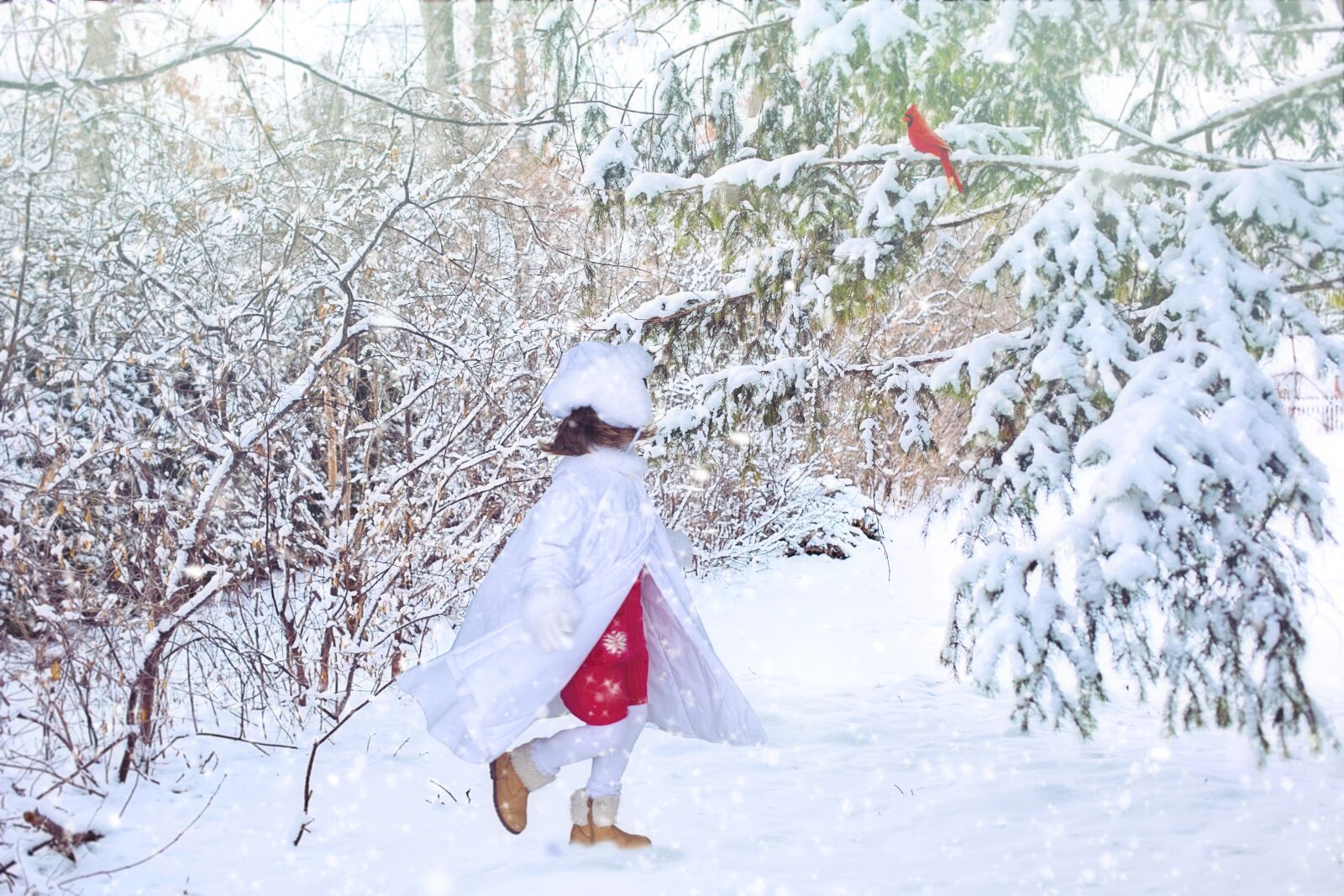 Canon EF 50mm F1.4 USM sample photo. Winter, snow, snowy photography