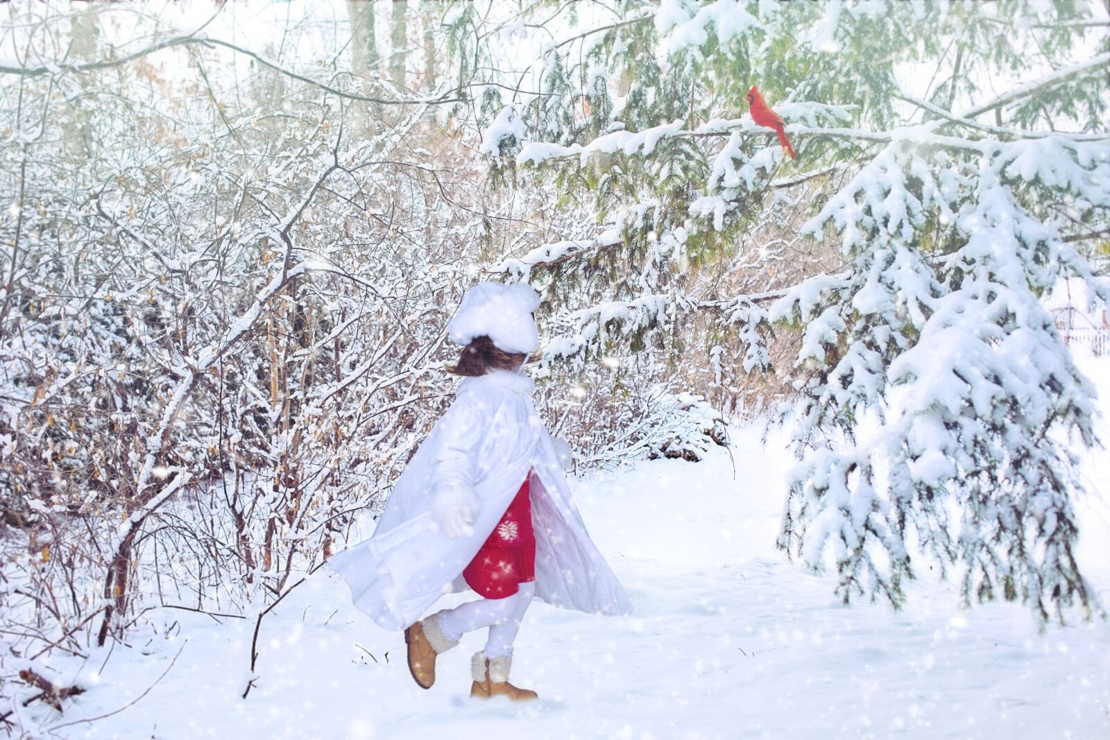 Canon EOS 5D Mark III + Canon EF 50mm F1.4 USM sample photo. Winter, snow, snowy photography