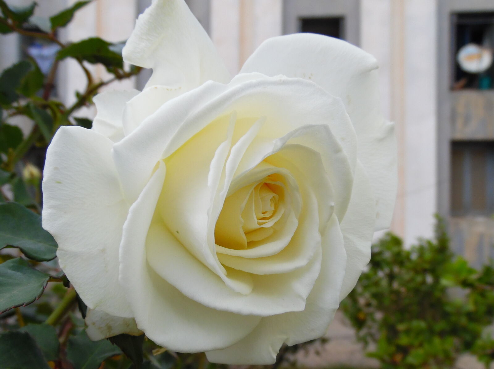 Samsung WB1100F/WB1101F/WB1102F sample photo