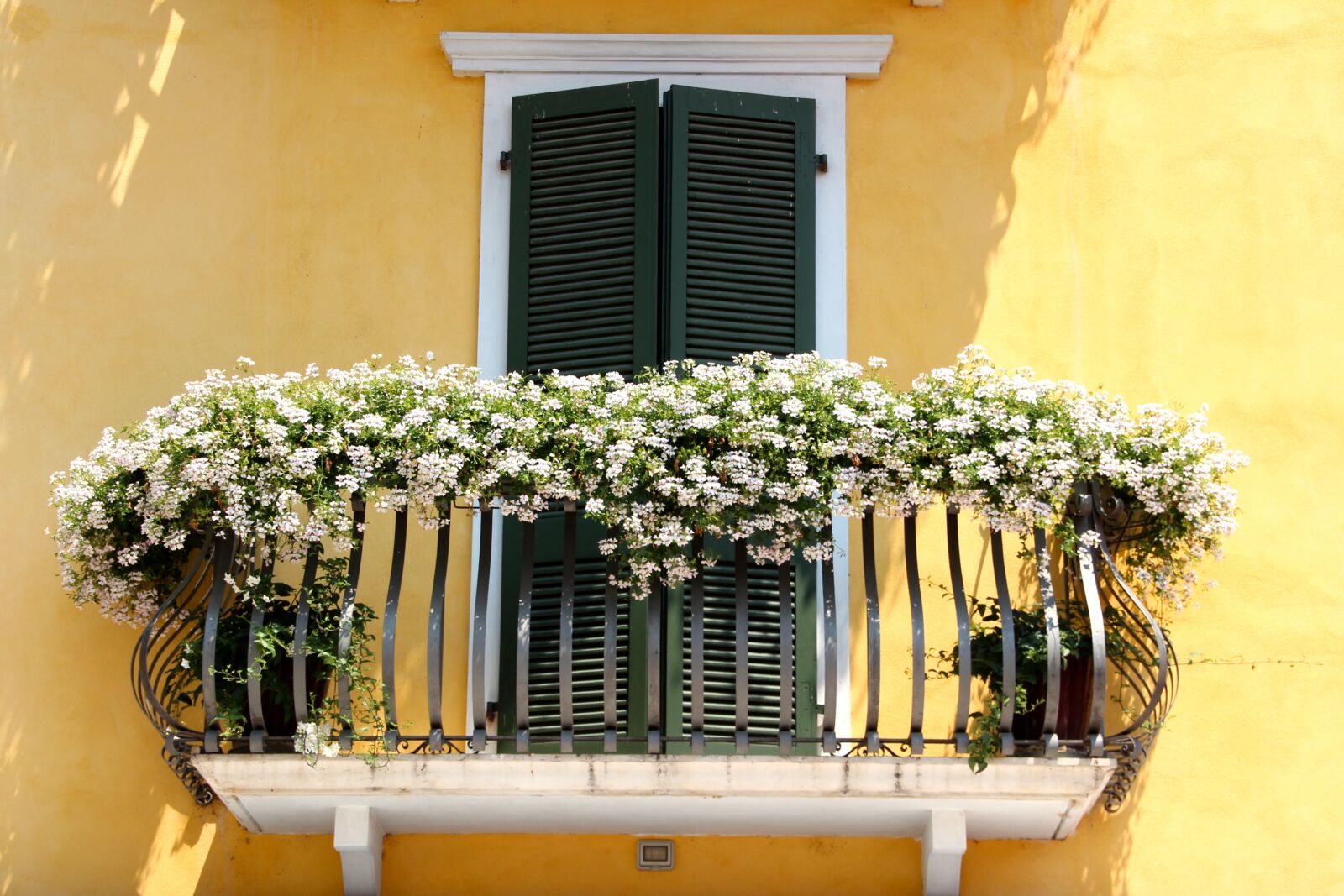 Canon EOS 600D (Rebel EOS T3i / EOS Kiss X5) sample photo. Balcony, flowers, flower boxes photography
