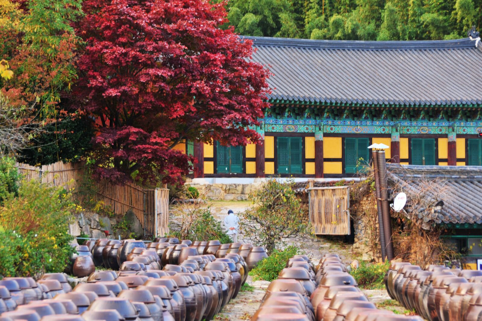 Nikon D700 sample photo. Buddhism, traditional, religion photography