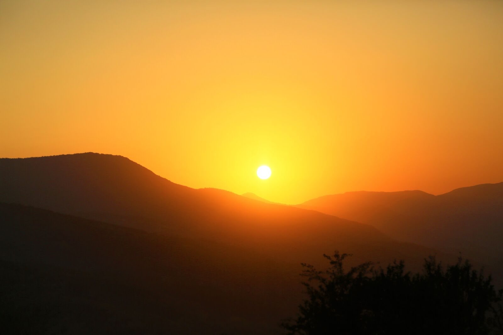 Canon EF 24-105mm F4L IS USM sample photo. Sunset, nature, forest photography