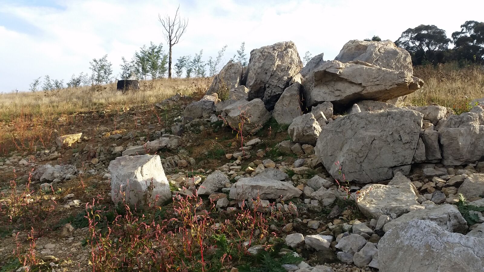 Samsung Galaxy S5 sample photo. Bank, grass, hill, rock photography