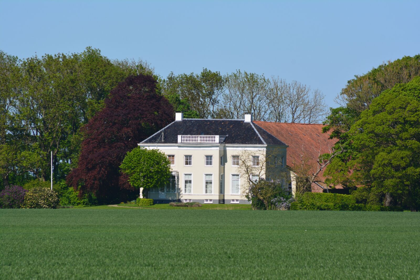 Nikon D5200 sample photo. Villa, holland, drieborg photography
