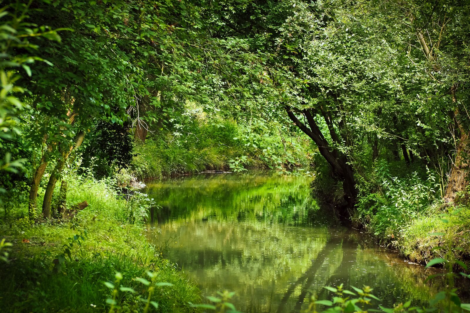 Olympus OM-D E-M10 sample photo. Landscape, bach, nature photography